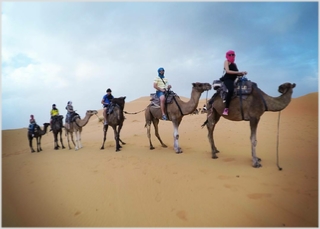 Tour from Casablanca Tour from Casablanca