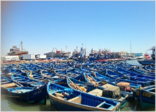 Excursion in Morocco