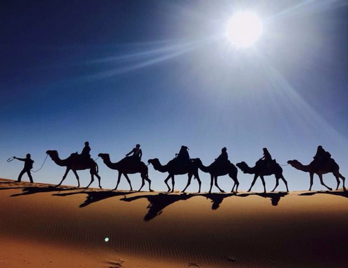 Activities in Morocco