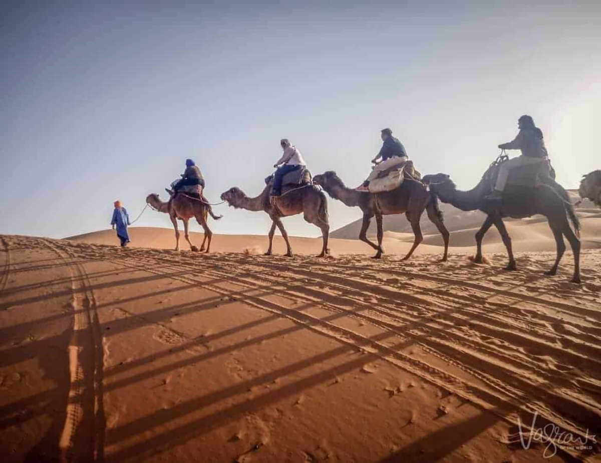 Activities in Morocco