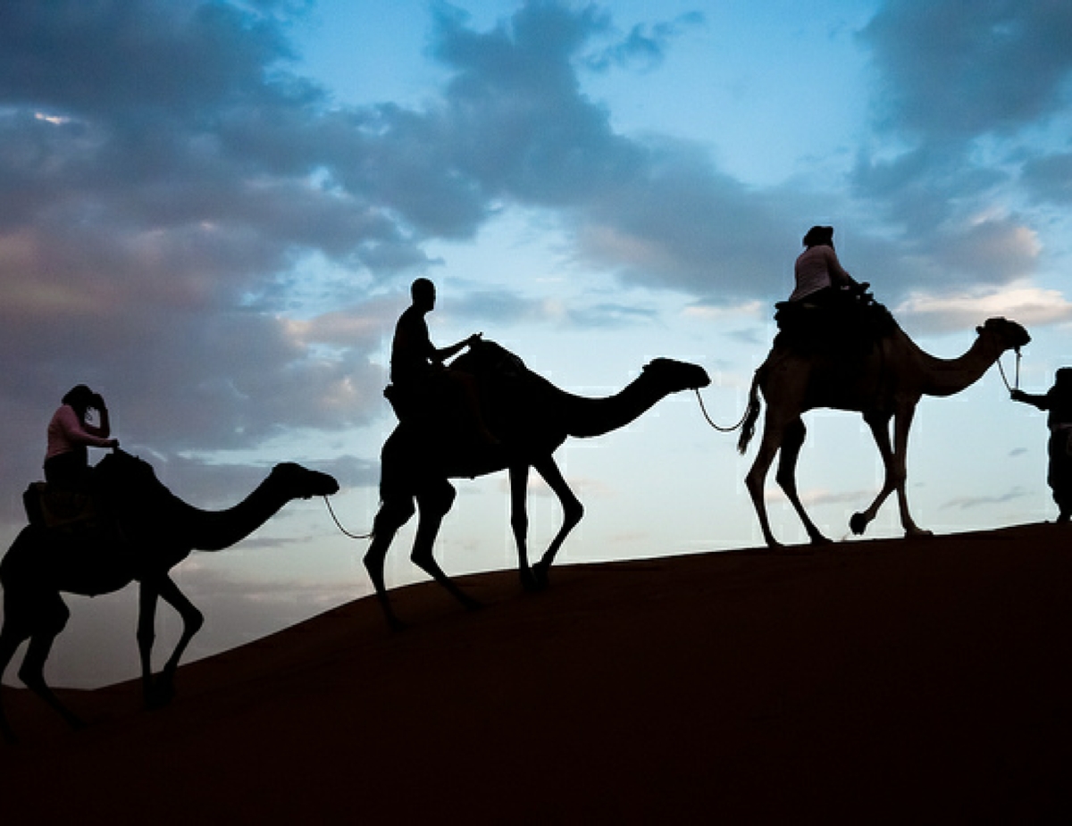 Tours from Marrakesh