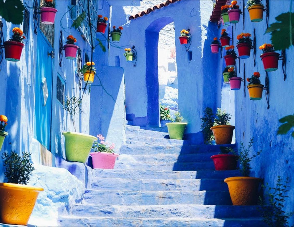 Tours from Marrakesh