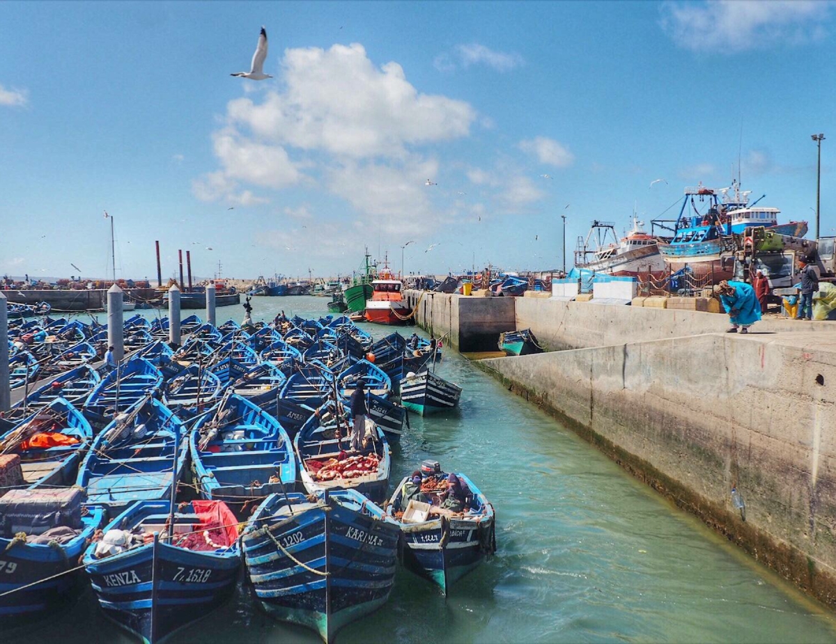 Tours from Marrakesh