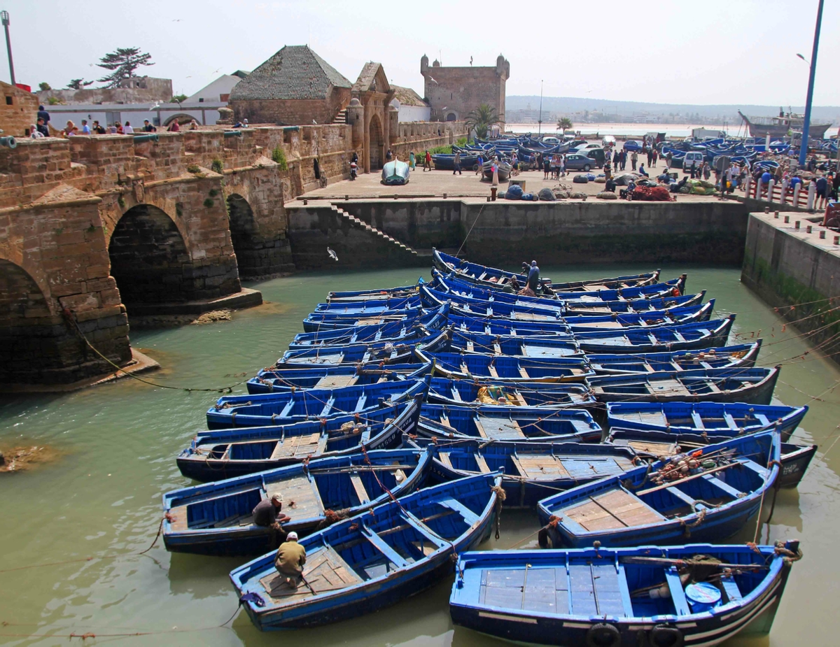 Day Trip from Marrakesh