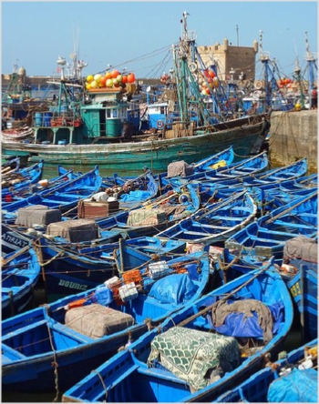 Day Trip from Marrakesh