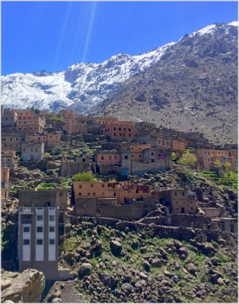 Day Trip from Marrakesh